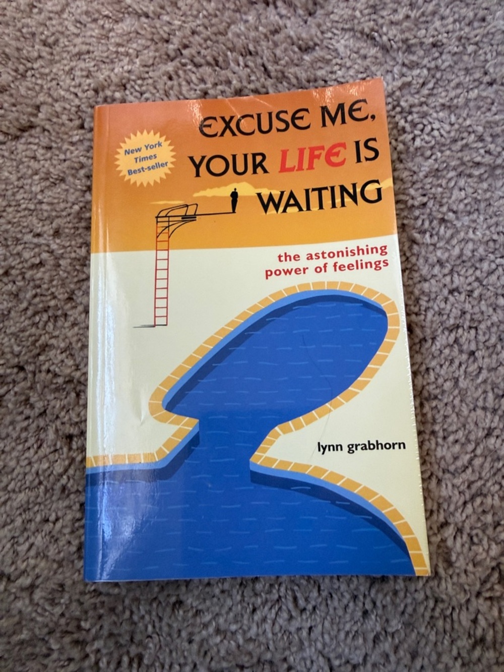 Excuse Me, Your Life Is Waiting by Lynn Grabhorn - Yellow & Blue Cover